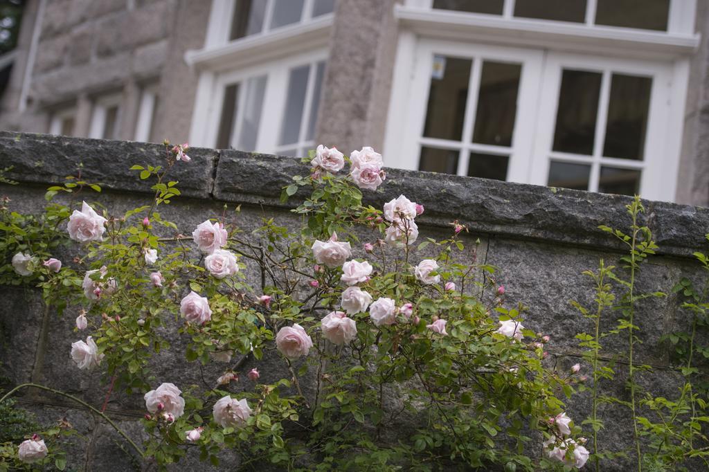 Lys-Na-Greyne Country House Aboyne Bagian luar foto