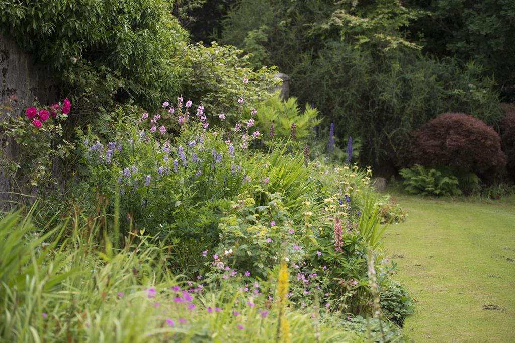 Lys-Na-Greyne Country House Aboyne Bagian luar foto